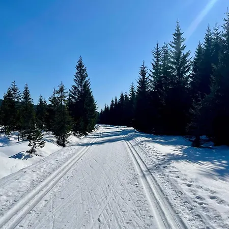 Nora - Prichovice Appartement Kořenov